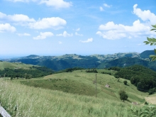 campofontana-05
